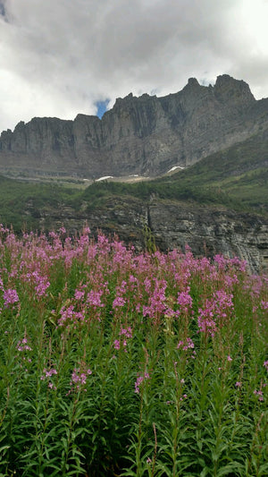 DAY 4 | GLACIER NATIONAL PARK