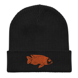 Goofy Goldfish Organic Ribbed Beanie