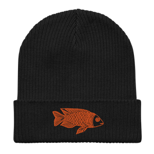 Goofy Goldfish Organic Ribbed Beanie