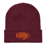 Goofy Goldfish Organic Ribbed Beanie