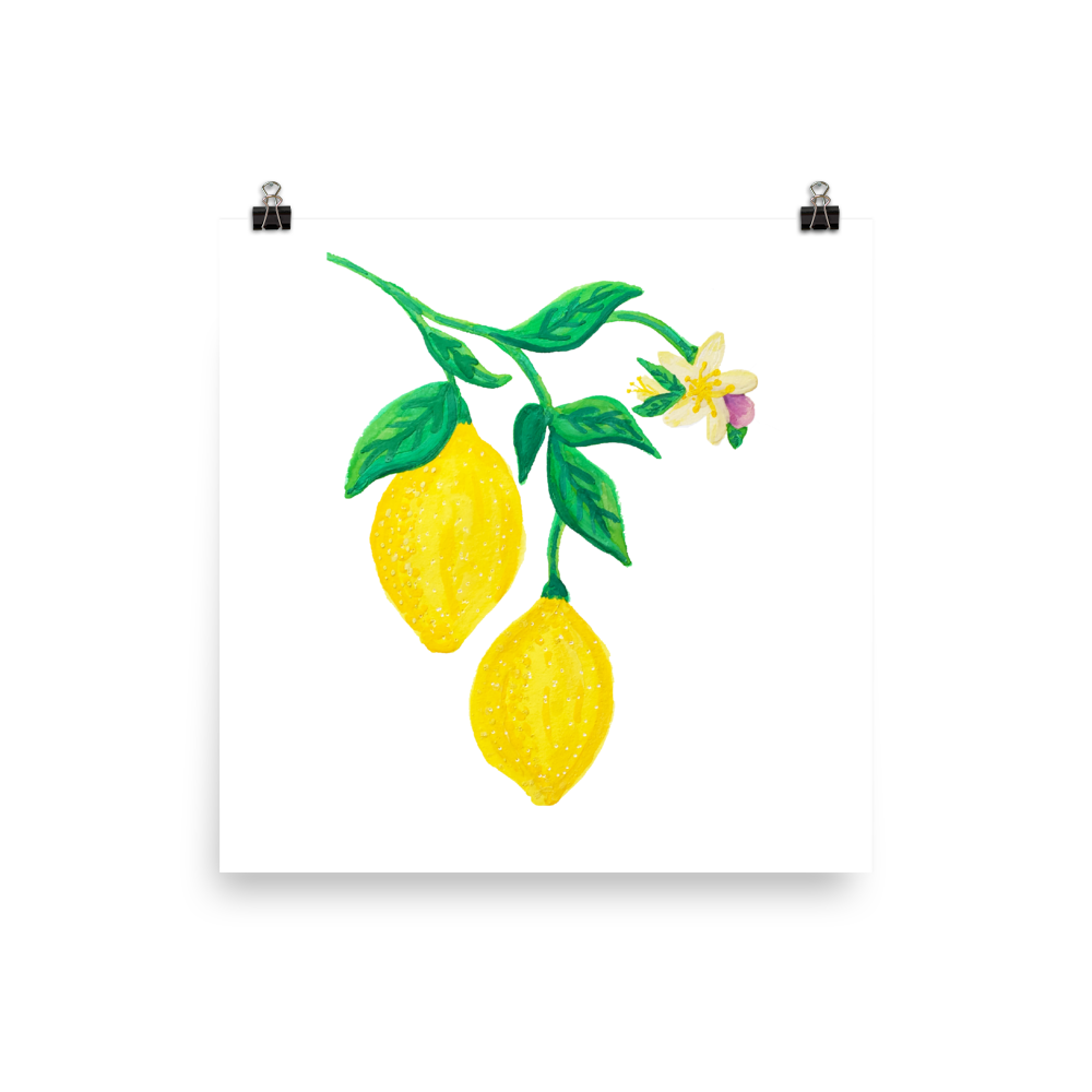 Citrus Blossom Branch Art Prints